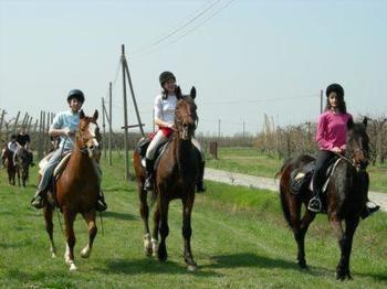 Agriturismo La Riccardina Budrio  Zewnętrze zdjęcie